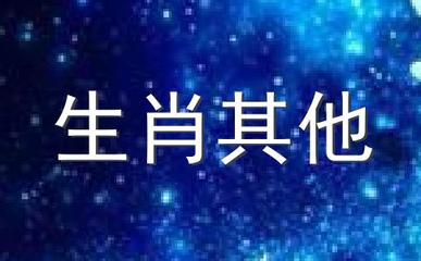 女属牛和男属虎的婚姻怎么样