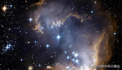 星座 金星