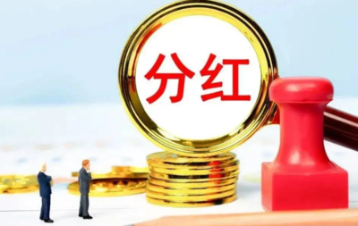小公司股东如何分红