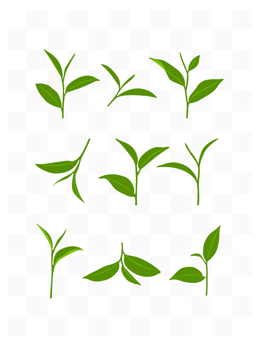 简约手绘矢量新鲜绿色茶叶嫩芽植物插画元素