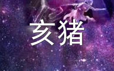 和平代表什么生肖