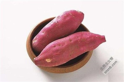 小宝宝能吃红薯吗