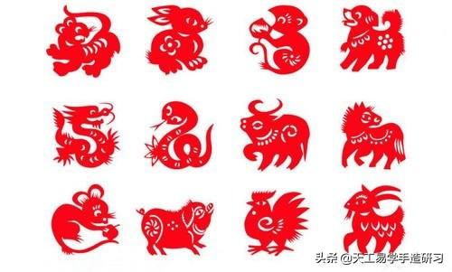 地指什么生肖