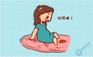 怀孕为什么出血