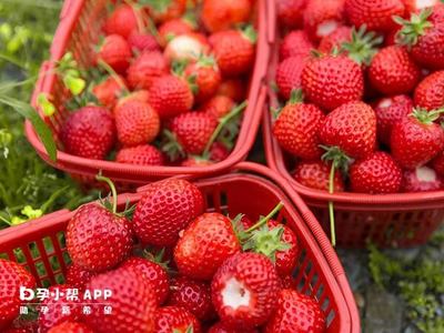 梦见自己吃草莓
