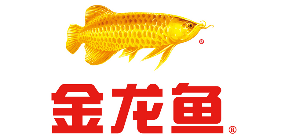 韶關(guān)觀賞魚市場(chǎng)地址（韶關(guān)觀賞魚市場(chǎng)地址電話）