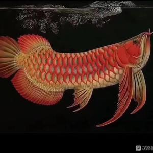 養(yǎng)六角龍魚(yú)需要注意什么事項(xiàng)(養(yǎng)六角龍魚(yú)風(fēng)水好嗎) 魚(yú)缸風(fēng)水