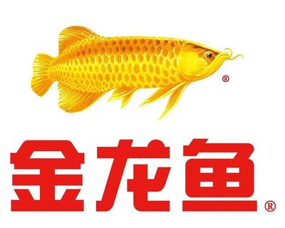 魚缸圖片（造景魚缸圖片）