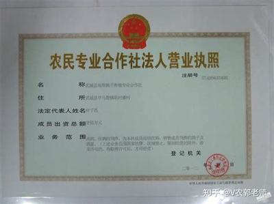 营业执照起名字大全