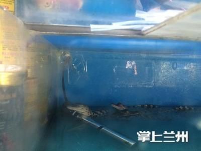 惠州市惠城區(qū)多肉水族館（惠州市惠城區(qū)多肉水族館地址）