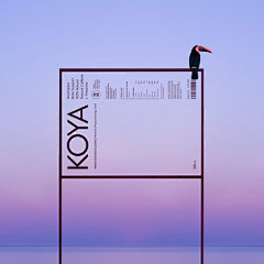 consciousness和perception