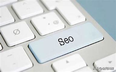 因seo排名点击软件(seo点击软件哪个好用)