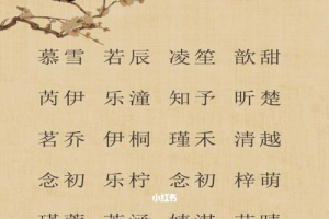 女孩子诗意的名字