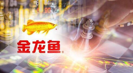 銀魚魚缸可以養(yǎng)嗎有毒嗎視頻講解， 銀魚魚缸可以養(yǎng)嗎有毒嗎視頻講解下載 泰國虎魚