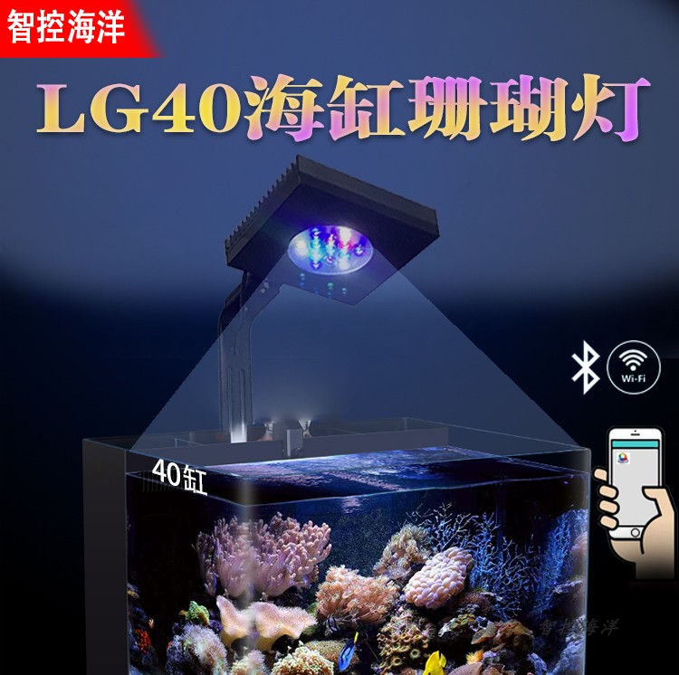 四只腳的龍魚（四只腳的龍魚叫什么）