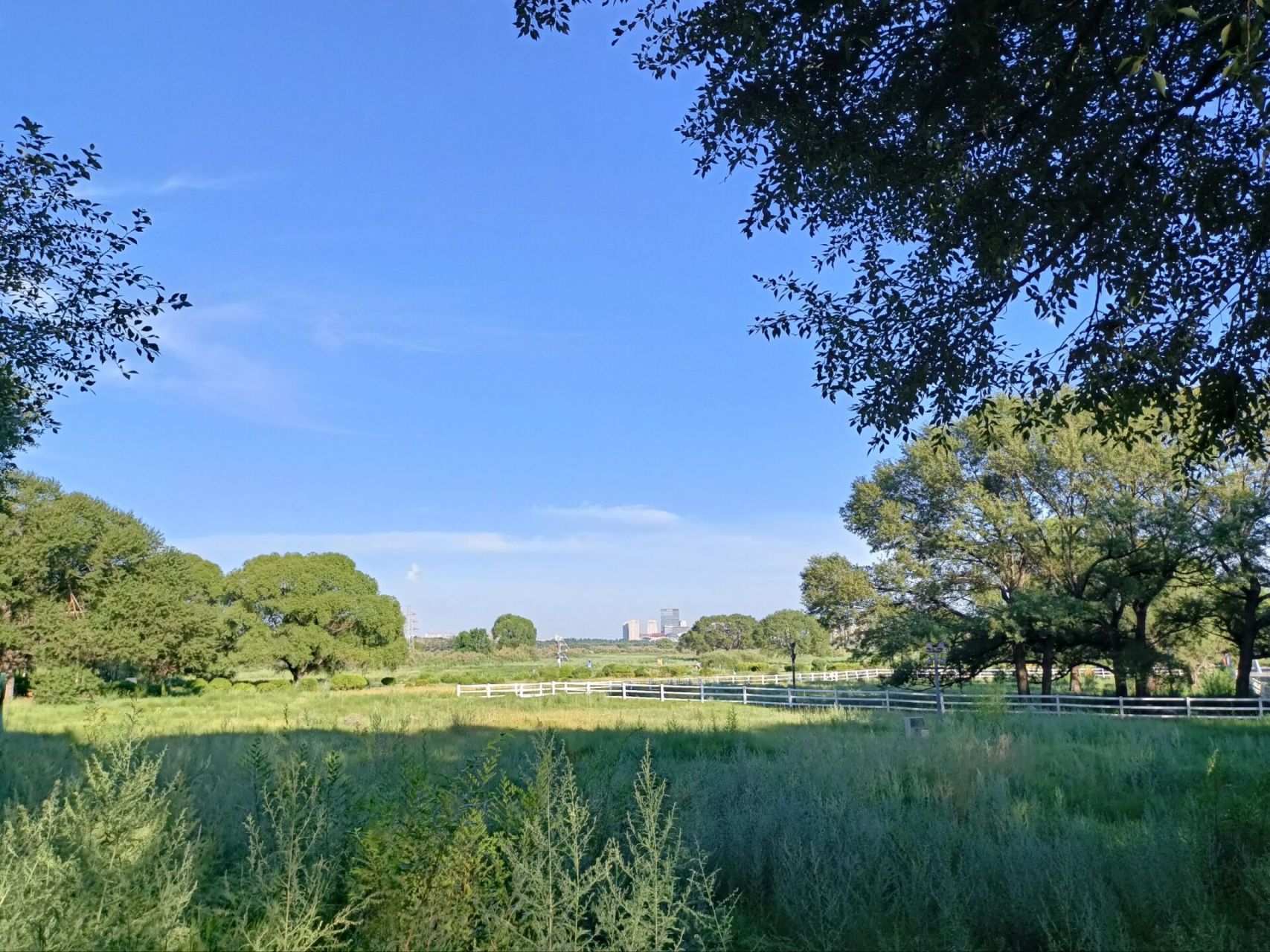 包头3日草原沙漠慢行记