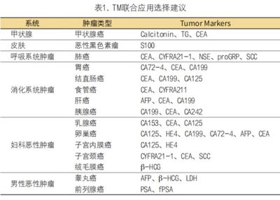 船舶审图验船师