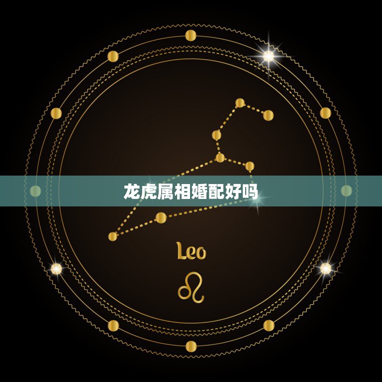 龙虎属相婚配好吗