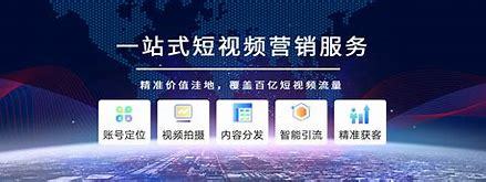 潍坊seo公司大揭秘:潍坊网站seo已更新