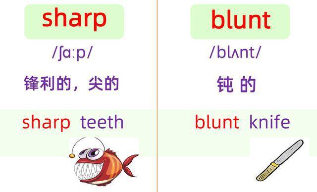 英语钝的怎么说