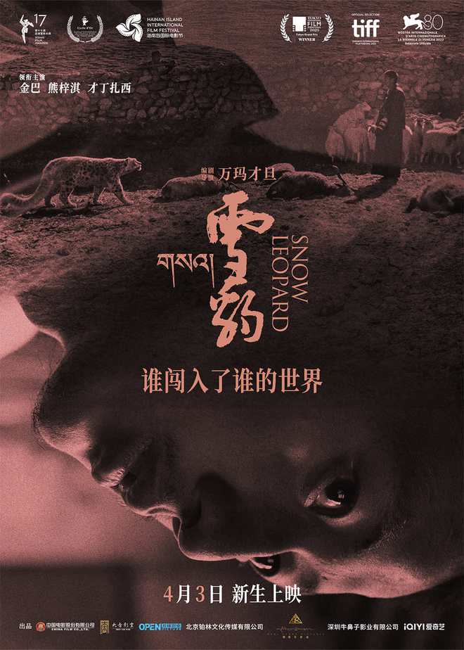 剧照
