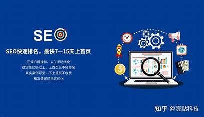 兰州网站seo快速排名服务详解:兰州seo电影网|2024年07月更新