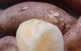 寒凉嘴角有痘痘