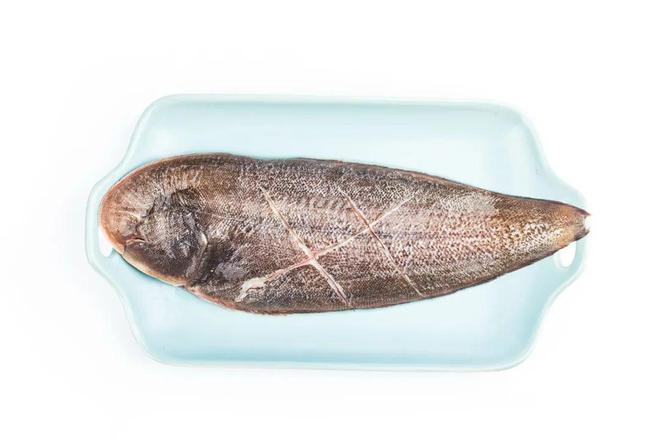 扁扁的大片鱼是什么鱼