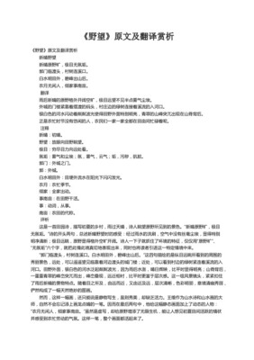 野望翻译和赏析