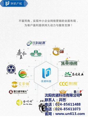 关键词优化排名、大连关键词优化、优诺科技雄厚技术实力