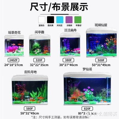 龍魚體型排名第幾（龍魚體型排名第幾名）