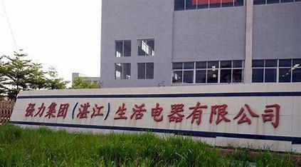 湛江电器seo大揭秘:湛江电大官网|2024年06月已更新