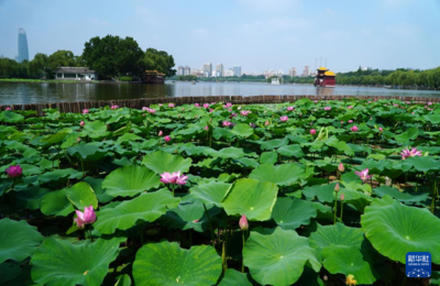 济南大明湖介绍