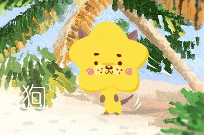 属狗的和属兔的合财吗