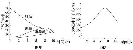 测量水的温度作文怎么写