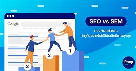 sem seo助理面试详解:sem seo是什么意思呢|2024年06月更新