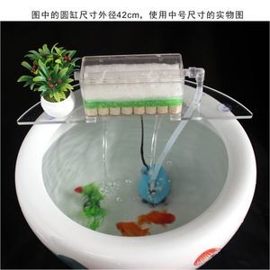 魚缸水發(fā)白霧蒙蒙的怎么回事兒(魚缸水發(fā)白霧蒙蒙的怎么回事兒圖片) 龍魚疾病與治療