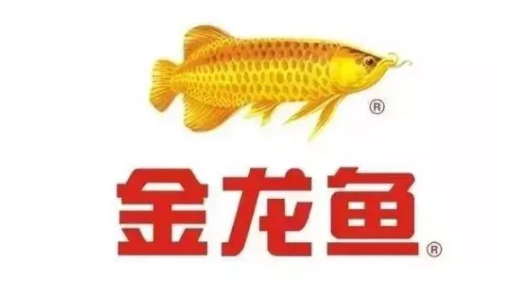 紅龍魚發(fā)色一定要用燈照嗎視頻（紅龍魚發(fā)色一定要用燈照嗎視頻教程）