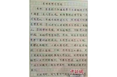 网络作文600字