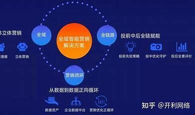 seo 数字化营销导读:seo 营销|2024年06月新更