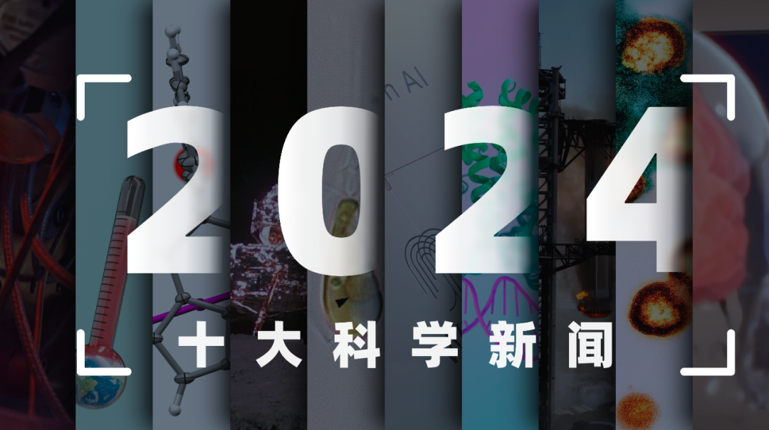万博365APP下载相关图片 赛后握手致意