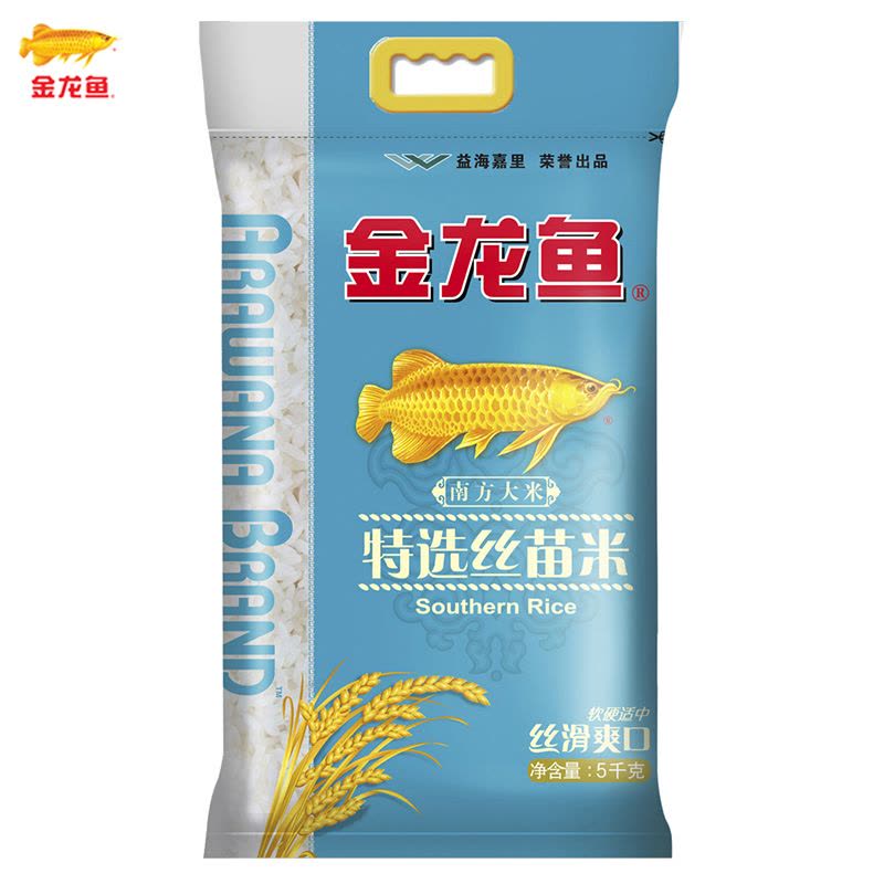 中小型雷龍魚種類有哪些（中小型雷龍魚種類有哪些圖片）