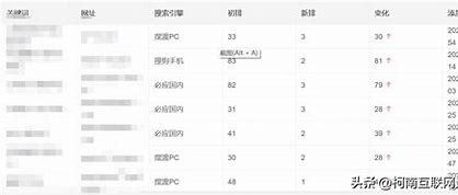 重庆网站seo优化排名(重庆网站seo公司)
