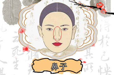 圆头鼻子的女人的面相