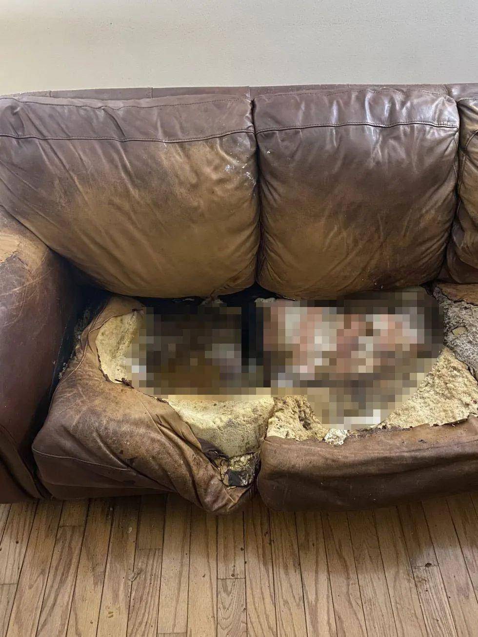 莱西弗莱彻沙发