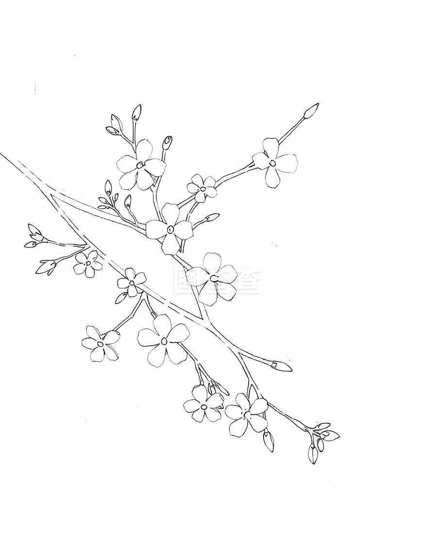 梅花简笔画图片大全