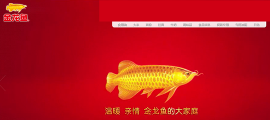 河蚌在魚缸里吃什么 祥龍魚場(chǎng)