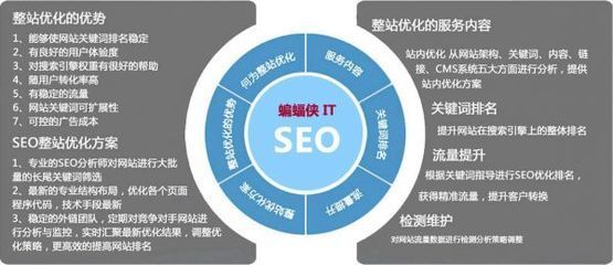 谷歌seo运营考核内容详解:谷歌seo教程|2024年07月更新