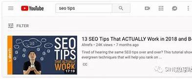 seo视频教程哪个出名详解:seo短视频在线观看|2024年06月更新