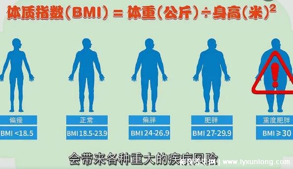 bmi超过多少,身体质量指数超过多少就是肥胖